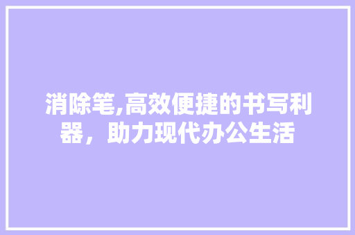 消除笔,高效便捷的书写利器，助力现代办公生活 SEO教程