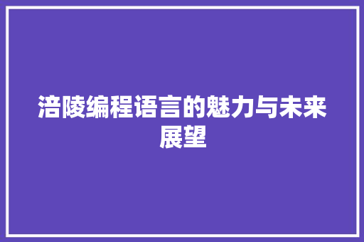 涪陵编程语言的魅力与未来展望 SEO教程
