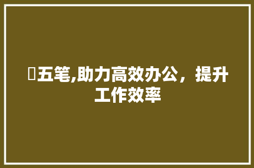 淏五笔,助力高效办公，提升工作效率