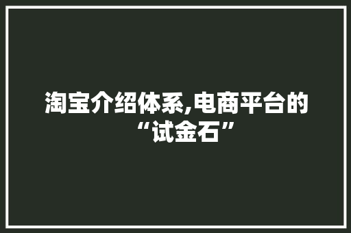淘宝介绍体系,电商平台的“试金石”