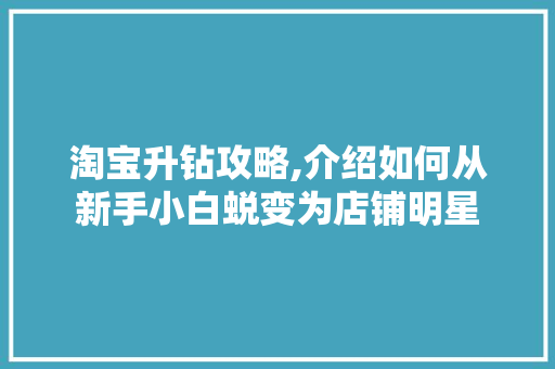 淘宝升钻攻略,介绍如何从新手小白蜕变为店铺明星