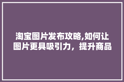 淘宝图片发布攻略,如何让图片更具吸引力，提升商品销量