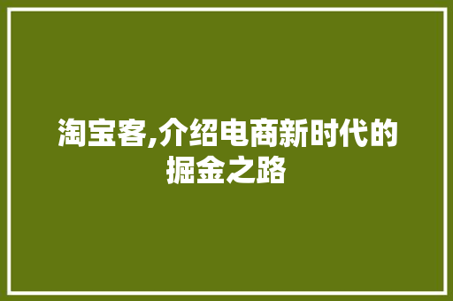 淘宝客,介绍电商新时代的掘金之路