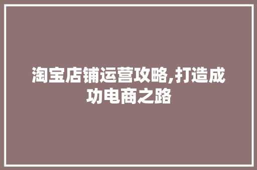 淘宝店铺运营攻略,打造成功电商之路 SEO教程