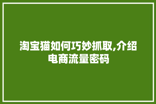 淘宝猫如何巧妙抓取,介绍电商流量密码