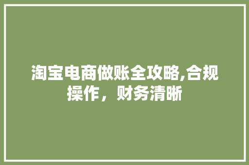 淘宝电商做账全攻略,合规操作，财务清晰