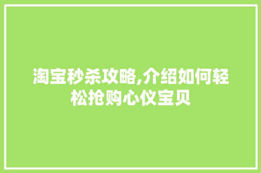 淘宝秒杀攻略,介绍如何轻松抢购心仪宝贝