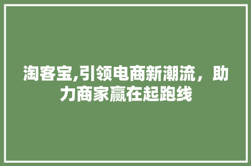 淘客宝,引领电商新潮流，助力商家赢在起跑线