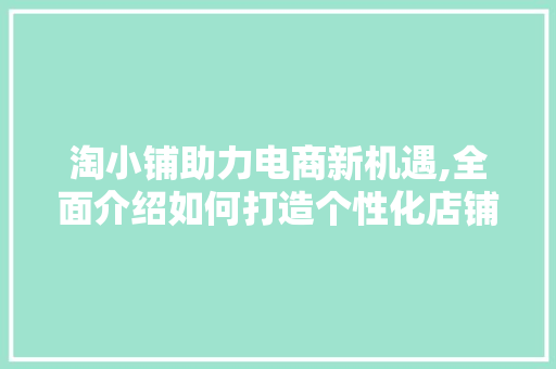 淘小铺助力电商新机遇,全面介绍如何打造个性化店铺 WordPress教程