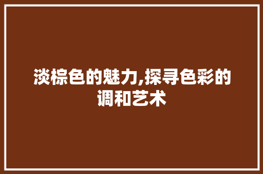 淡棕色的魅力,探寻色彩的调和艺术