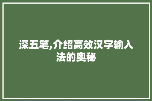 深五笔,介绍高效汉字输入法的奥秘