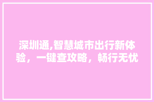 深圳通,智慧城市出行新体验，一键查攻略，畅行无忧！