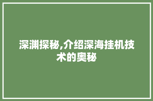 深渊探秘,介绍深海挂机技术的奥秘