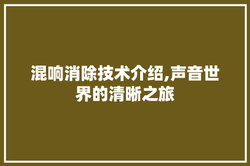 混响消除技术介绍,声音世界的清晰之旅
