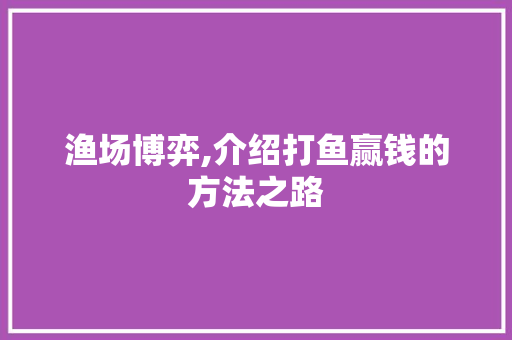 渔场博弈,介绍打鱼赢钱的方法之路