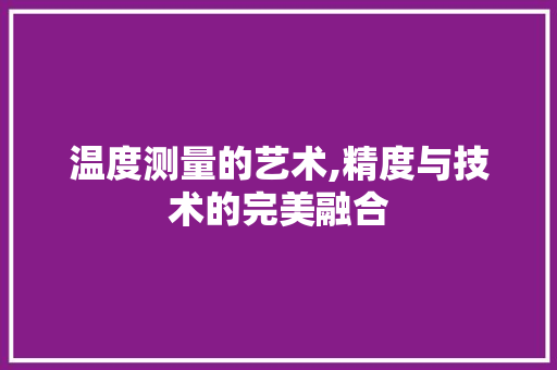 温度测量的艺术,精度与技术的完美融合 友链在线