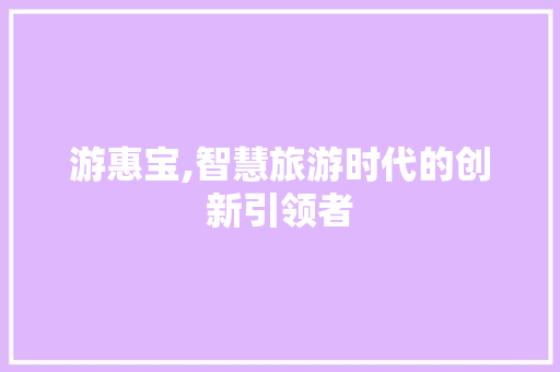 游惠宝,智慧旅游时代的创新引领者 SEO教程