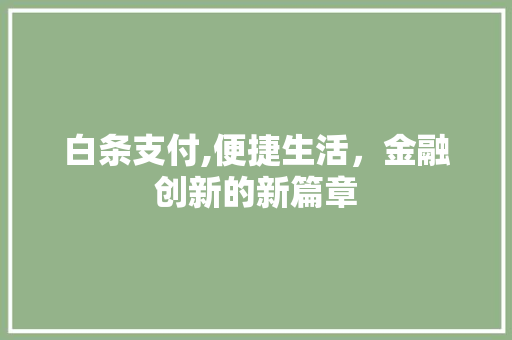 白条支付,便捷生活，金融创新的新篇章 WordPress教程