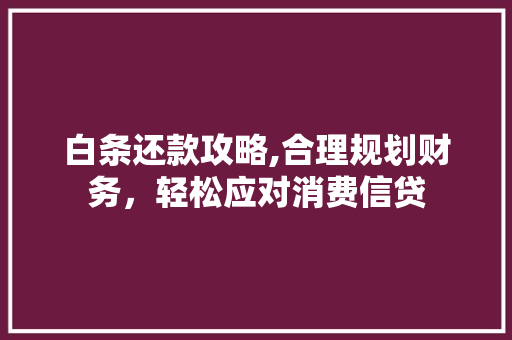 白条还款攻略,合理规划财务，轻松应对消费信贷