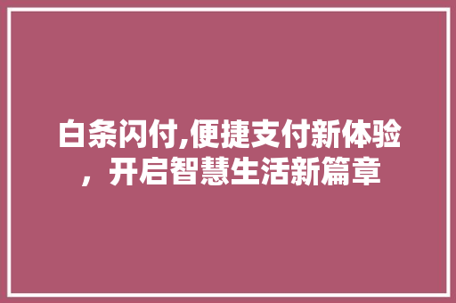 白条闪付,便捷支付新体验，开启智慧生活新篇章 服务器/数据库