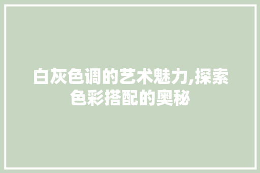 白灰色调的艺术魅力,探索色彩搭配的奥秘 建站教程