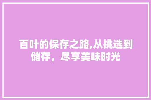 百叶的保存之路,从挑选到储存，尽享美味时光 SEO教程