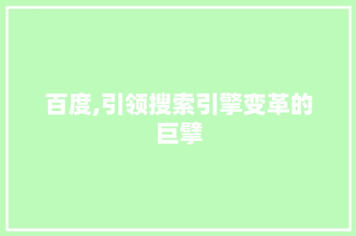 百度,引领搜索引擎变革的巨擘
