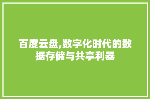 百度云盘,数字化时代的数据存储与共享利器 建站教程
