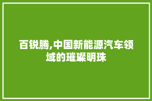 百锐腾,中国新能源汽车领域的璀璨明珠