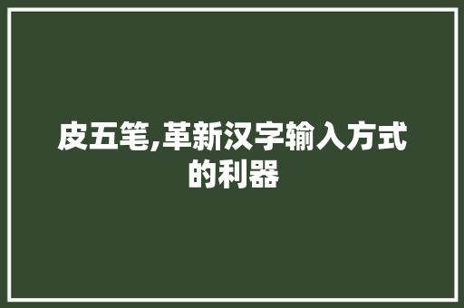 皮五笔,革新汉字输入方式的利器