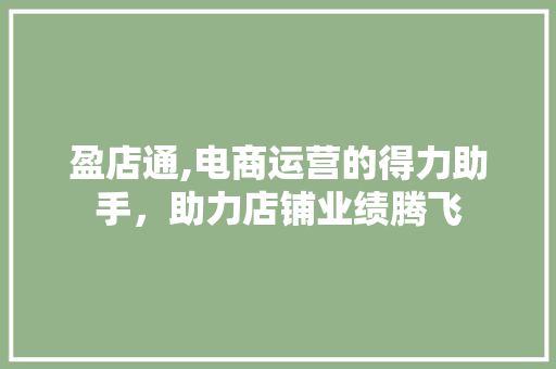盈店通,电商运营的得力助手，助力店铺业绩腾飞