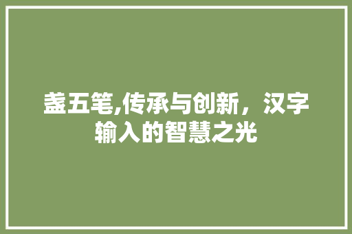 盏五笔,传承与创新，汉字输入的智慧之光