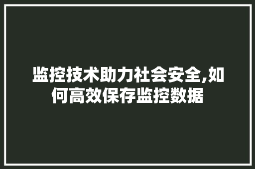 监控技术助力社会安全,如何高效保存监控数据