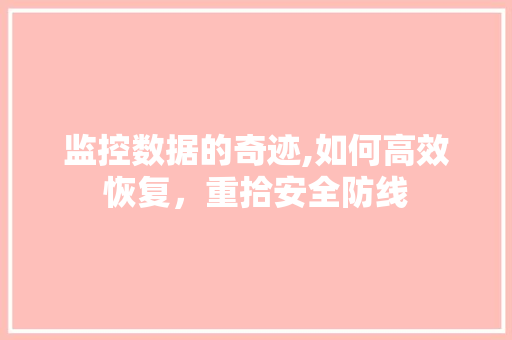 监控数据的奇迹,如何高效恢复，重拾安全防线