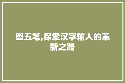 盥五笔,探索汉字输入的革新之路