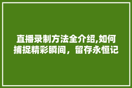 直播录制方法全介绍,如何捕捉精彩瞬间，留存永恒记忆