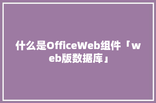 什么是OfficeWeb组件「web版数据库」
