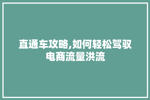直通车攻略,如何轻松驾驭电商流量洪流