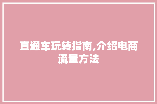 直通车玩转指南,介绍电商流量方法