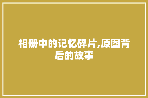 相册中的记忆碎片,原图背后的故事