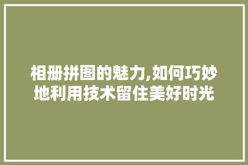 相册拼图的魅力,如何巧妙地利用技术留住美好时光