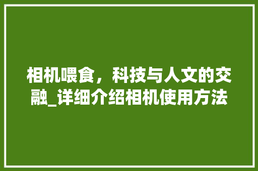 相机喂食，科技与人文的交融_详细介绍相机使用方法与艺术表现 WordPress教程