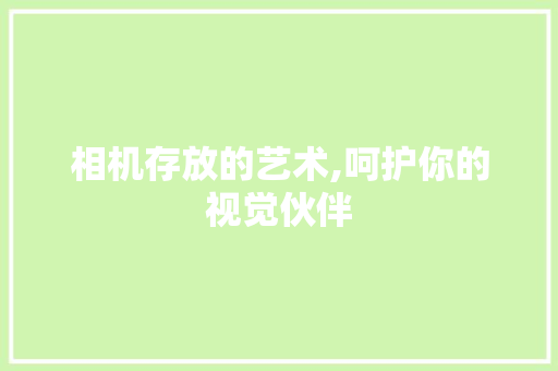 相机存放的艺术,呵护你的视觉伙伴 SEO教程