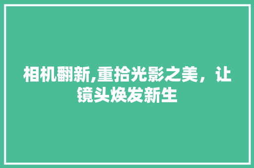 相机翻新,重拾光影之美，让镜头焕发新生 WordPress教程