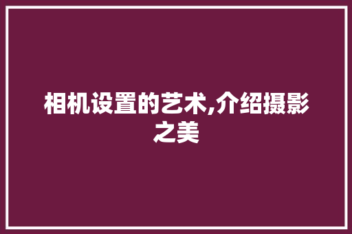 相机设置的艺术,介绍摄影之美