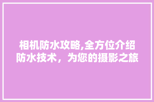 相机防水攻略,全方位介绍防水技术，为您的摄影之旅保驾护航 WordPress教程