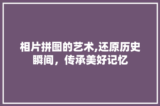相片拼图的艺术,还原历史瞬间，传承美好记忆