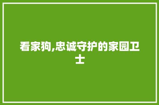 看家狗,忠诚守护的家园卫士