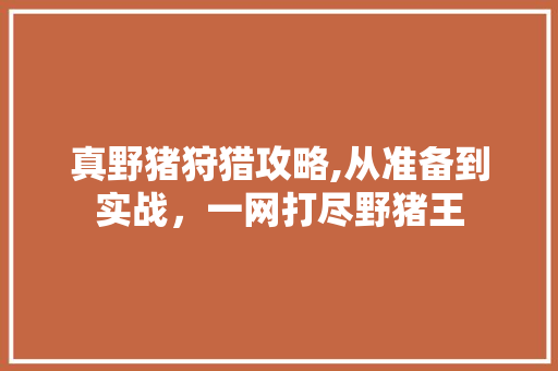 真野猪狩猎攻略,从准备到实战，一网打尽野猪王 服务器/数据库