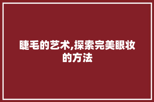 睫毛的艺术,探索完美眼妆的方法